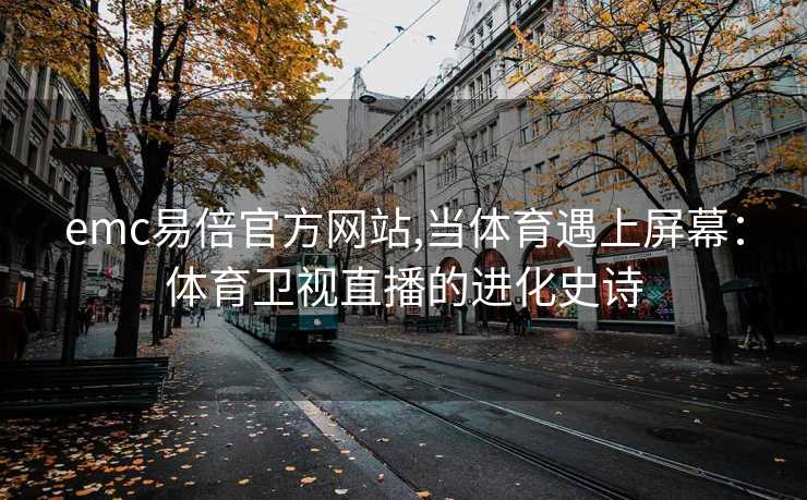 emc易倍官方网站,当体育遇上屏幕：体育卫视直播的进化史诗